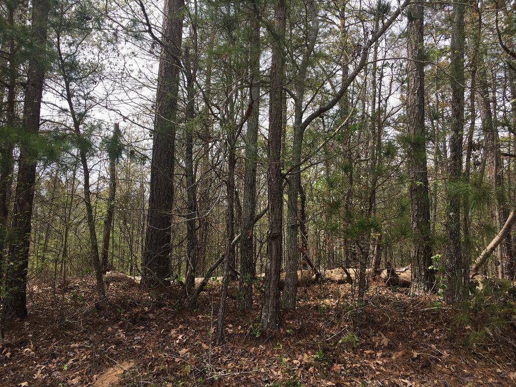 Eatonton, GA 31024,0 SUGAR CREEK TRL