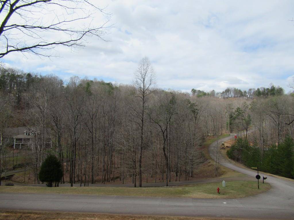 Dahlonega, GA 30533,Lot 60 Old Stamp Mill RD