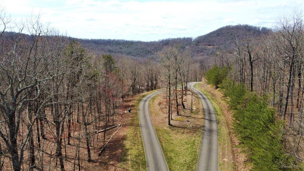 Ellijay, GA 30536,0 Mountain Falls LOOP