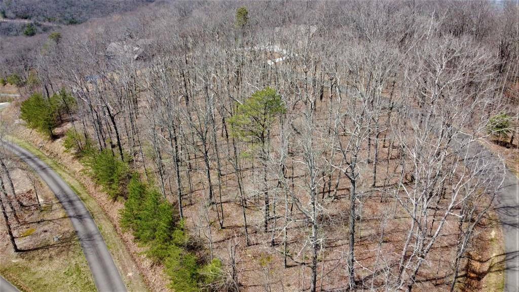 Ellijay, GA 30536,0 Mountain Falls LOOP