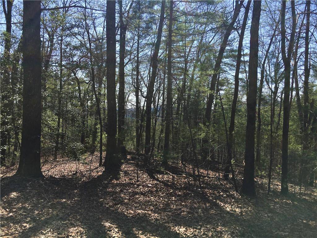 Helen, GA 30545,Lot 8 Baylaurel DR