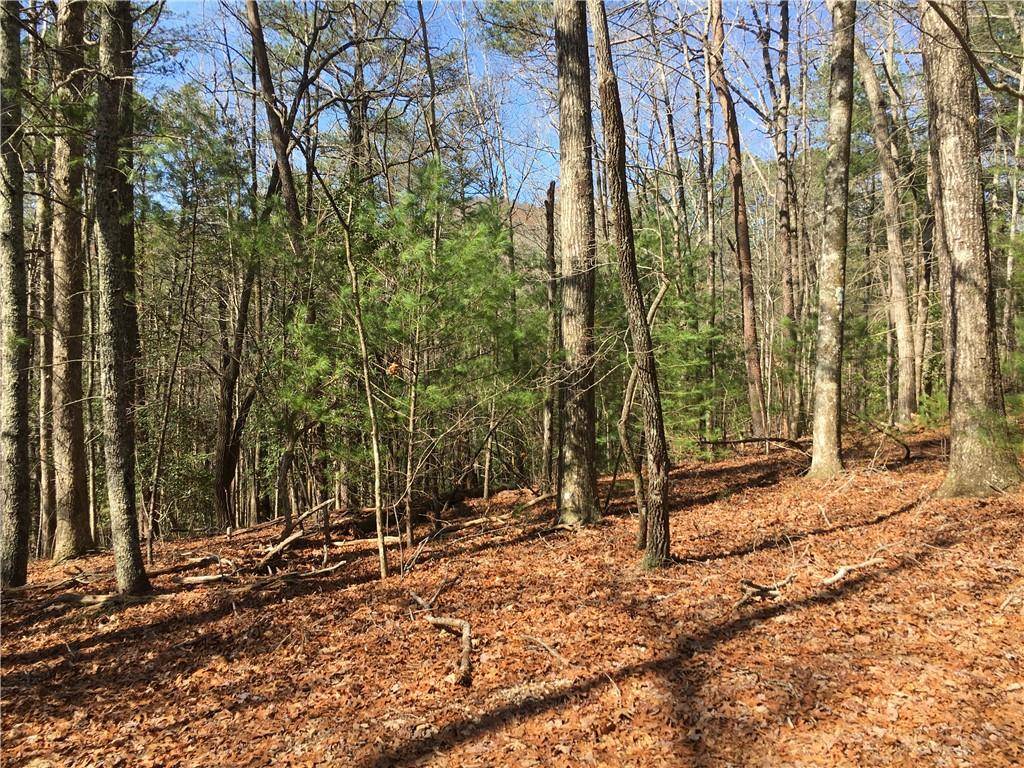 Helen, GA 30545,Lot 8 Baylaurel DR