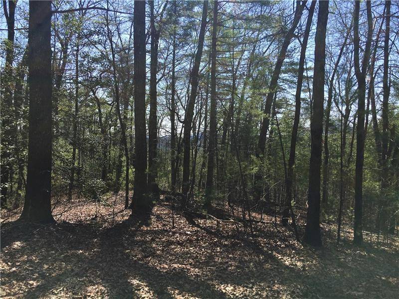 Helen, GA 30545,Lot 6 Baylaurel DR