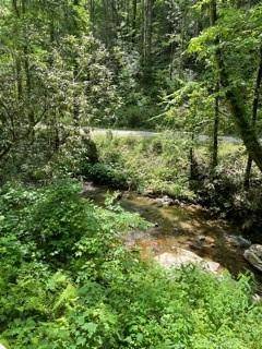 Ellijay, GA 30540,0 Cohutta Forest Rd