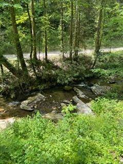 Ellijay, GA 30540,0 Cohutta Forest Rd