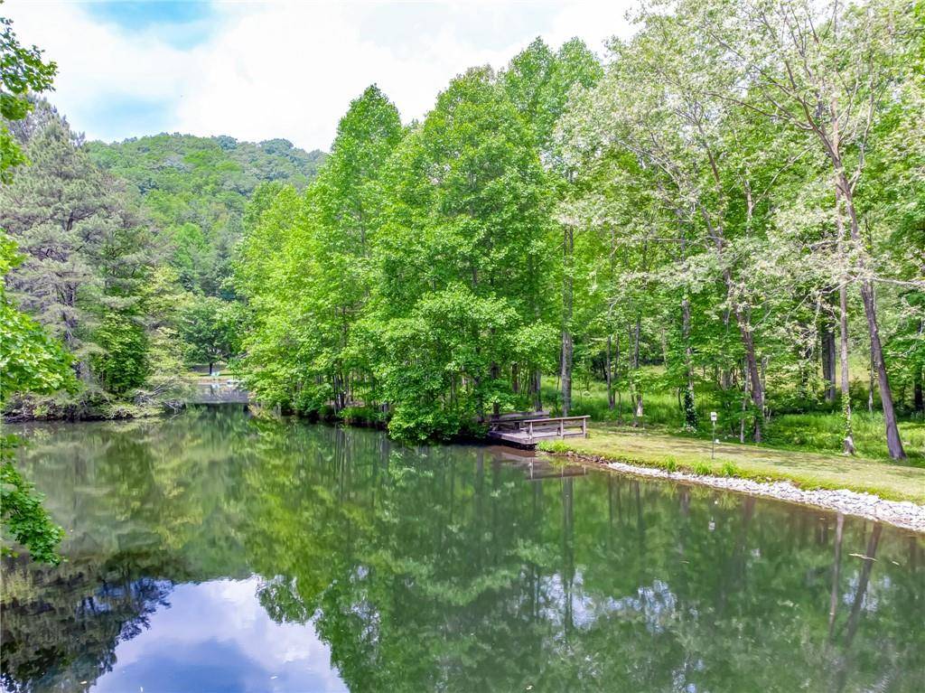 Cherry Log, GA 30522,151 Olivers Pond RD