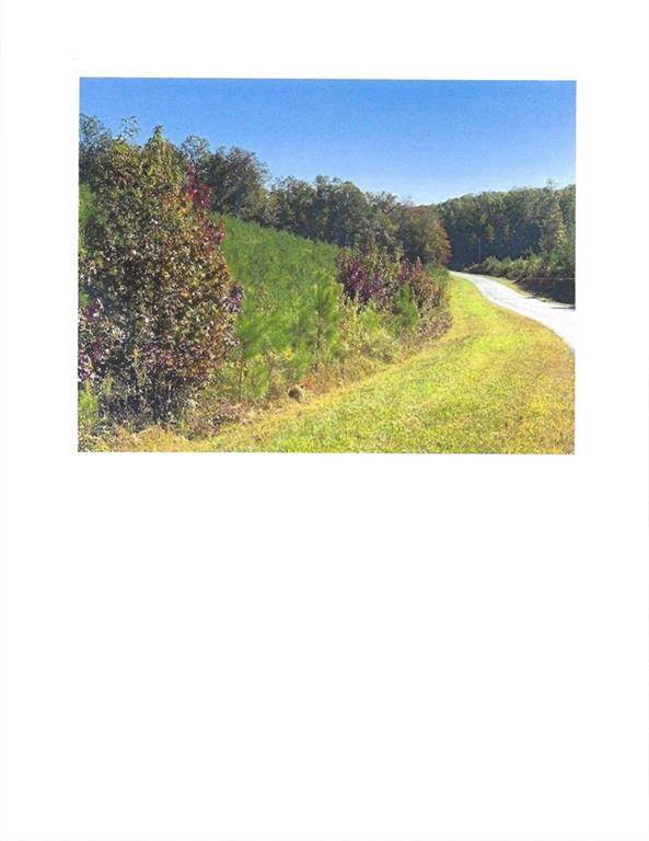 Adairsville, GA 30103,0 Bunch Mountain RD