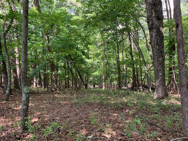 Dahlonega, GA 30533,LOT 18 Crown Mountain WAY