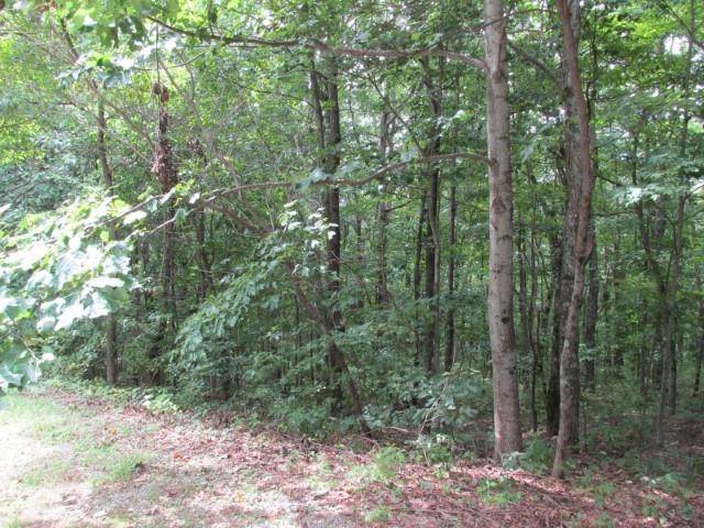 Ellijay, GA 30536,0 CLOUDLAND DR