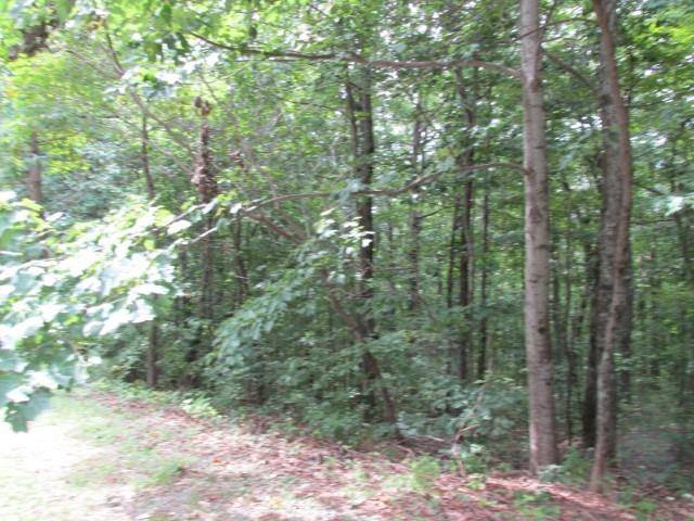 Ellijay, GA 30536,0 CLOUDLAND DR