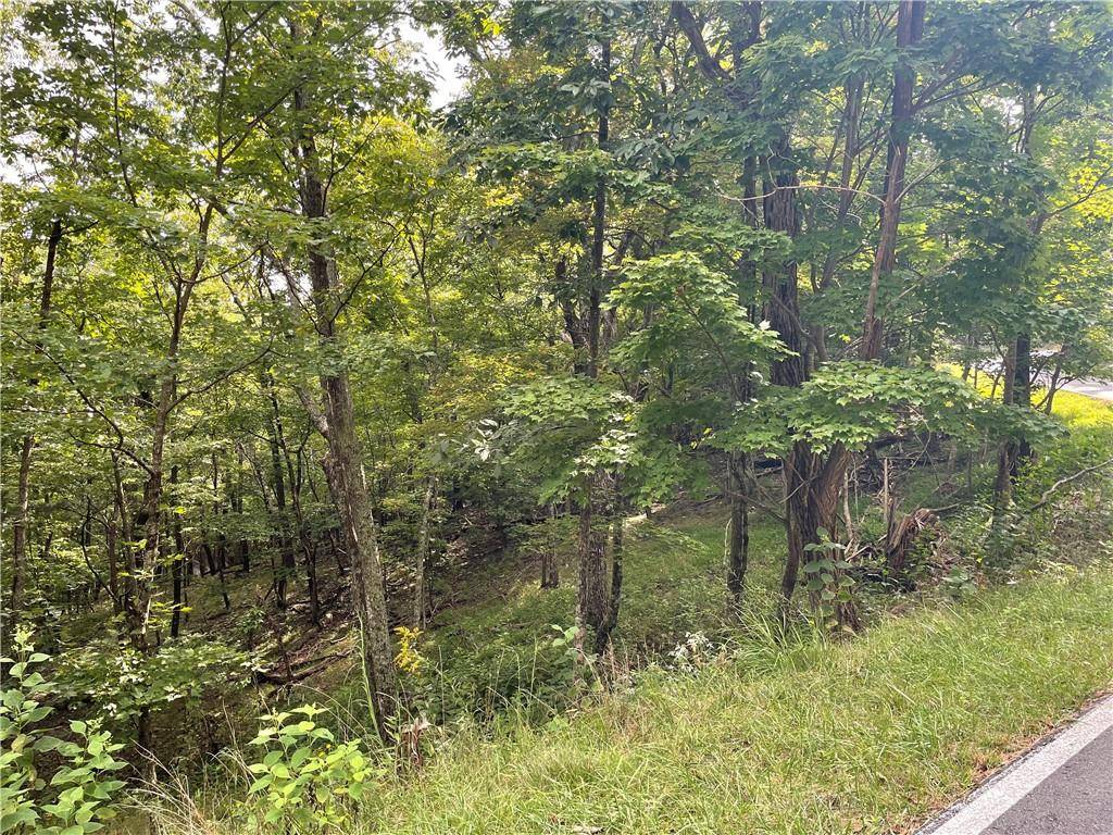 Jasper, GA 30143,Lot866 Little Hendricks Mountain RD