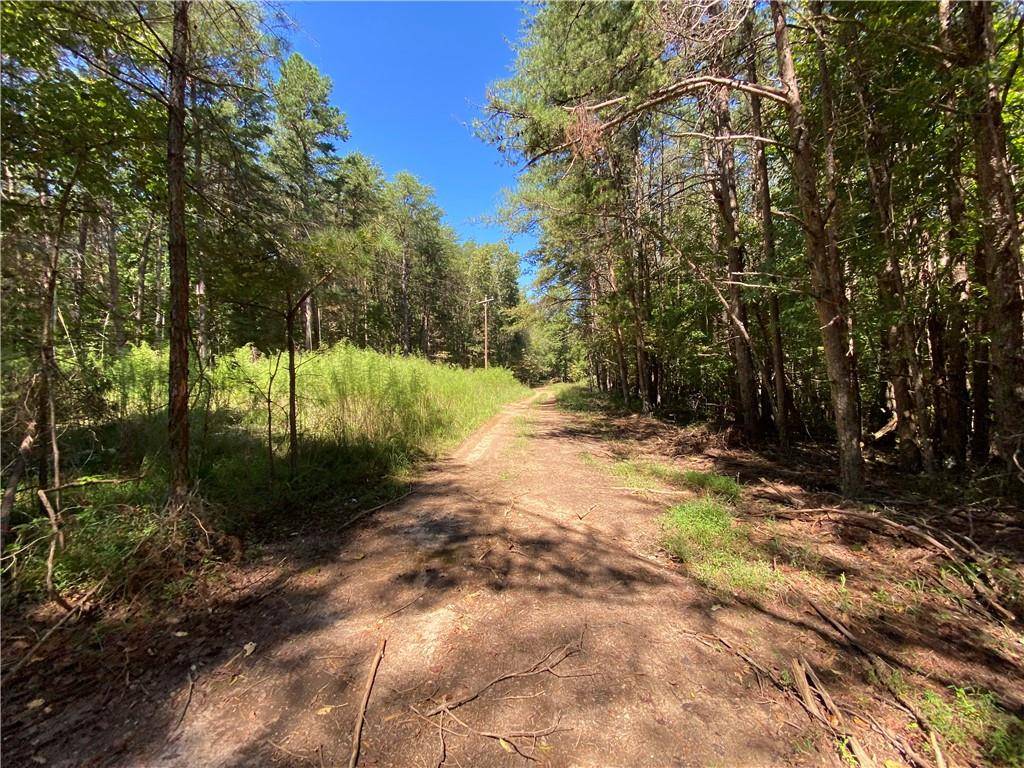 Ball Ground, GA 30107,Lot 3 Mineral Springs RD