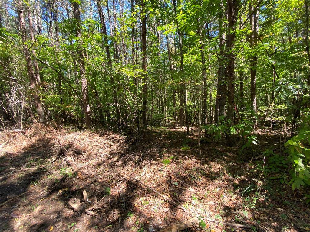 Ball Ground, GA 30107,Lot 3 Mineral Springs RD