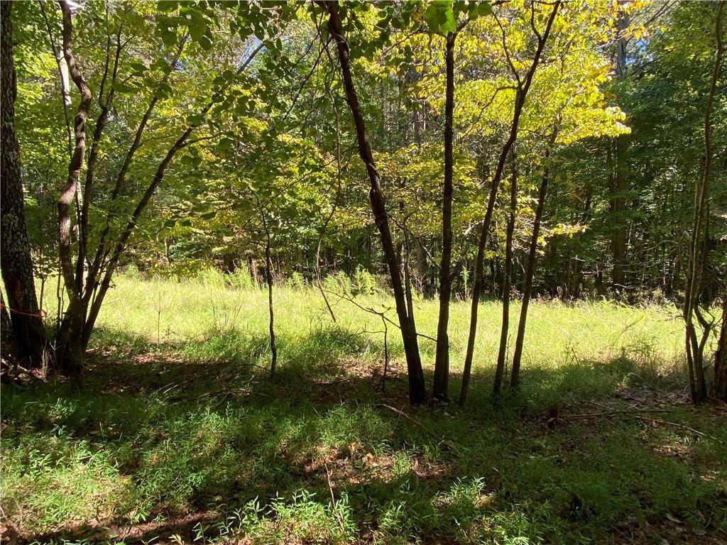 Ball Ground, GA 30107,Lot 4 Mineral Springs RD