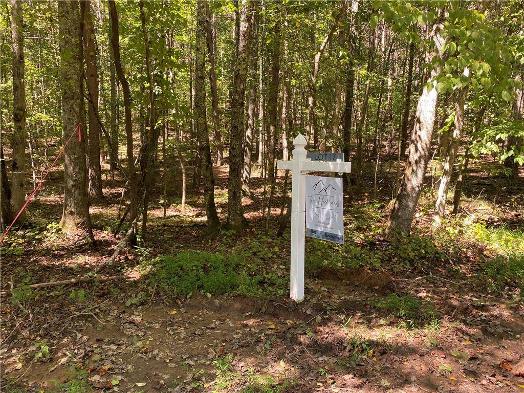 Ball Ground, GA 30107,Lot 17 Mineral Springs RD