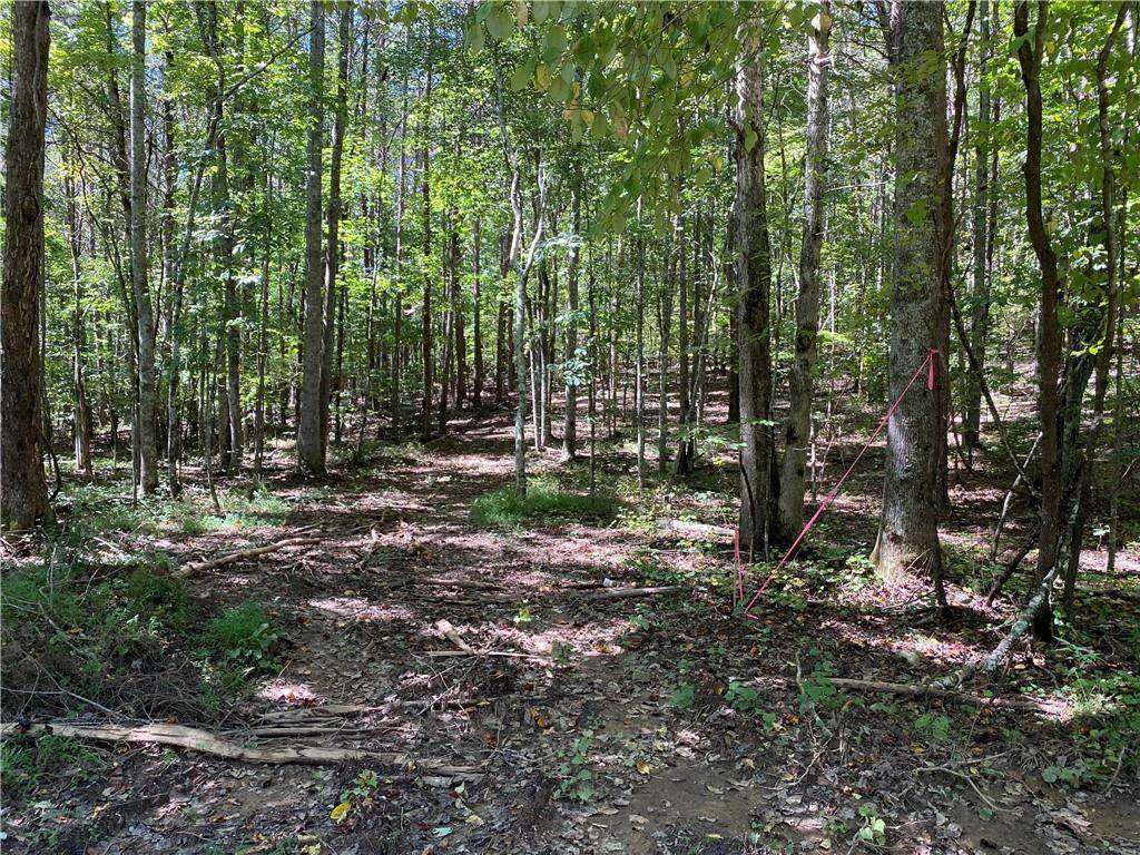 Ball Ground, GA 30107,Lot 17 Mineral Springs RD