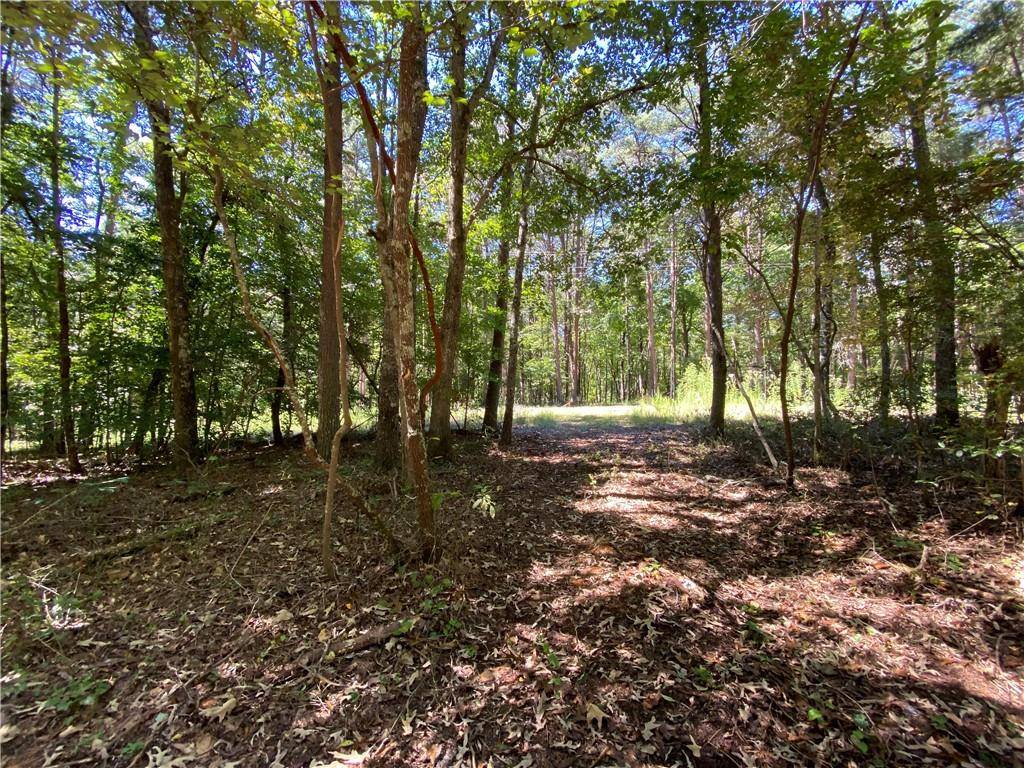 Ball Ground, GA 30107,Lot 18 Mineral Springs RD