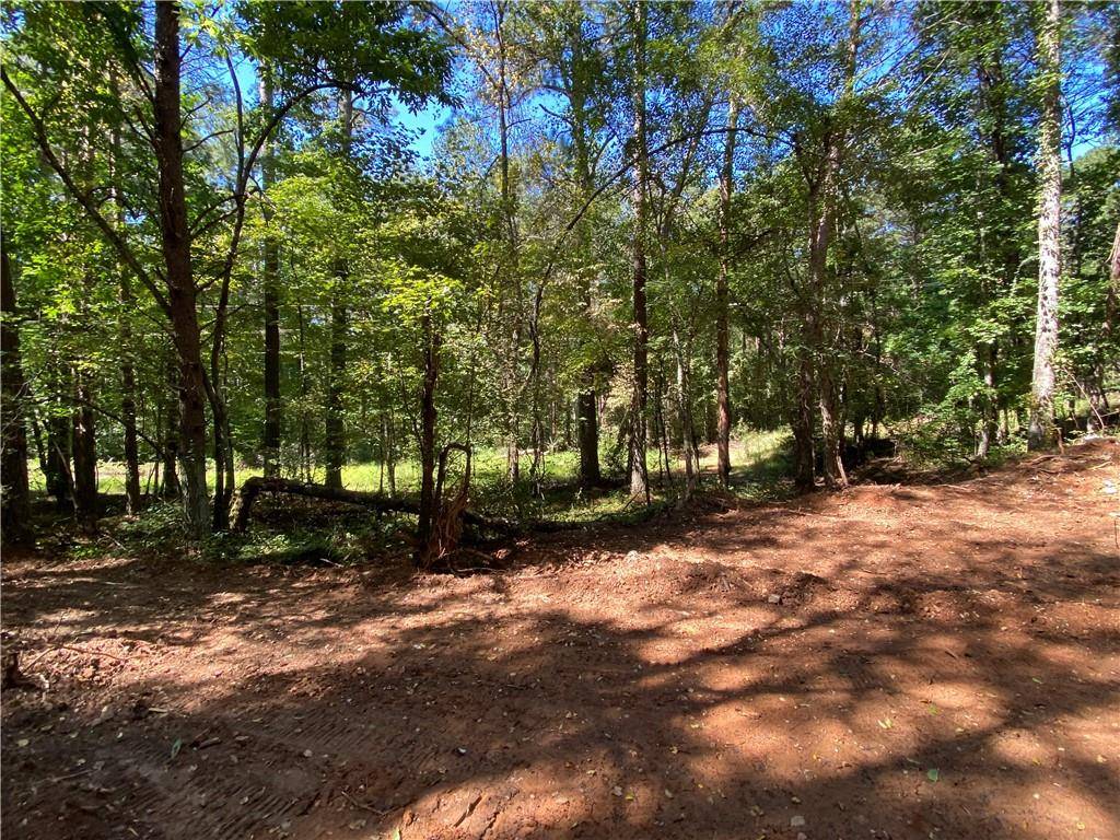 Ball Ground, GA 30107,Lot 20 Mineral Springs RD