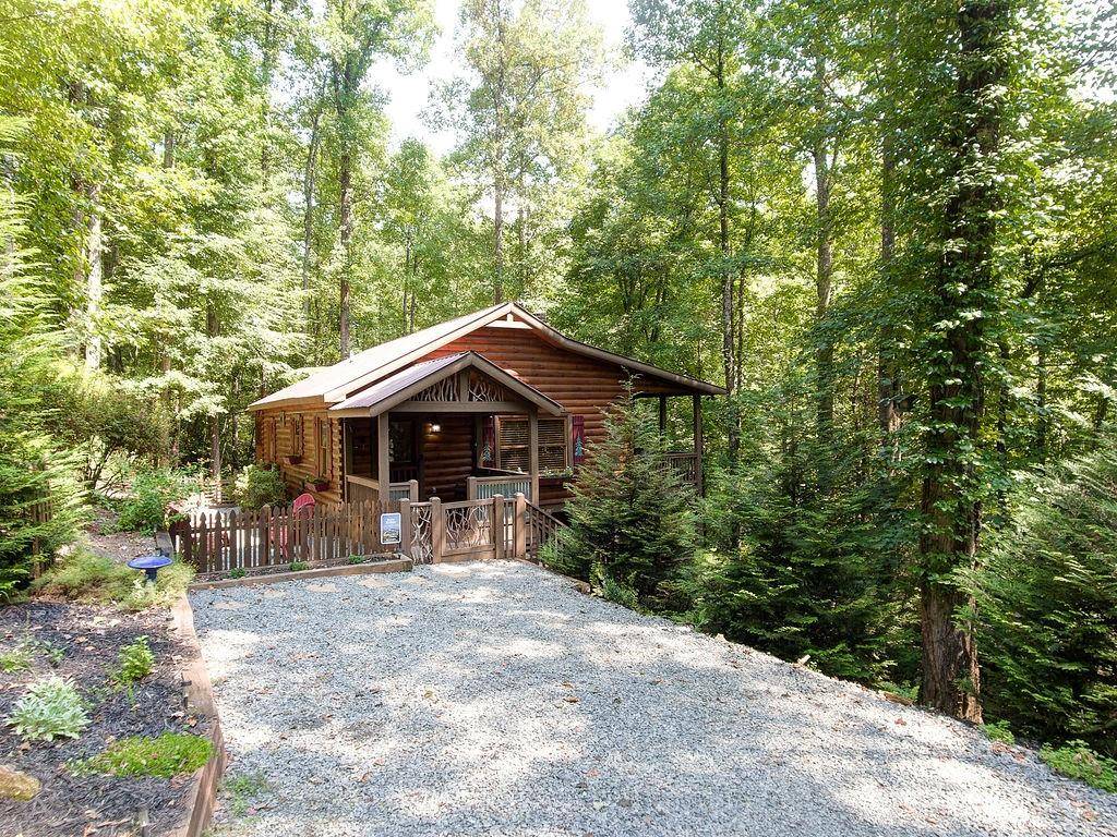 Cherry Log, GA 30522,23 Holly Hollow CT