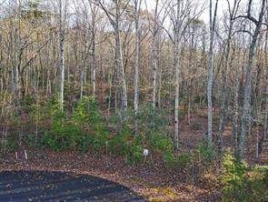 Hiawassee, GA 30546,Lot 8 Sweetwater View RD