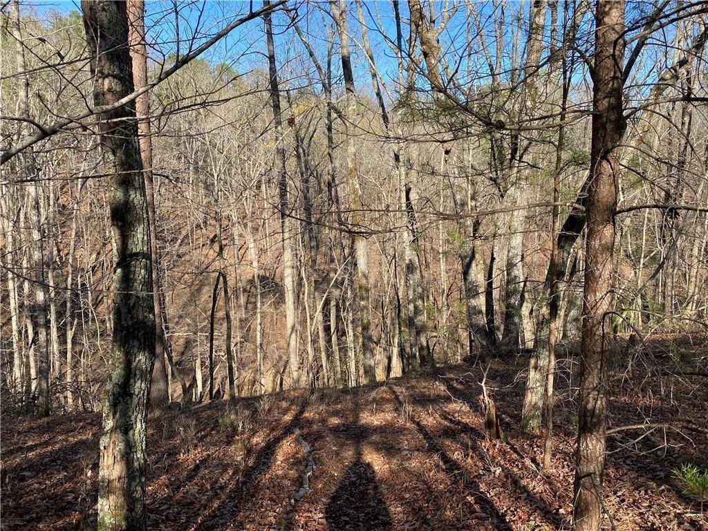 Dahlonega, GA 30533,65 Placer Mining RD