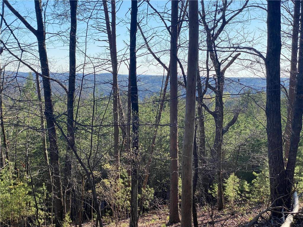 Dahlonega, GA 30533,2 Crown Mountain RDG