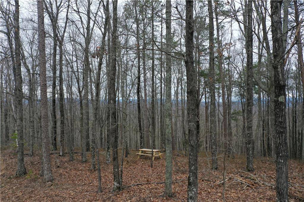 Ranger, GA 30734,1101 Panda DR