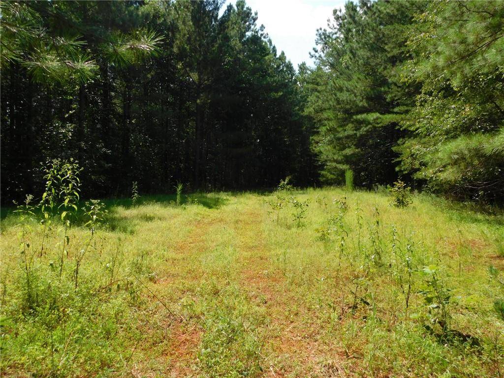 Dahlonega, GA 30533,lot #7 Highway 52 West