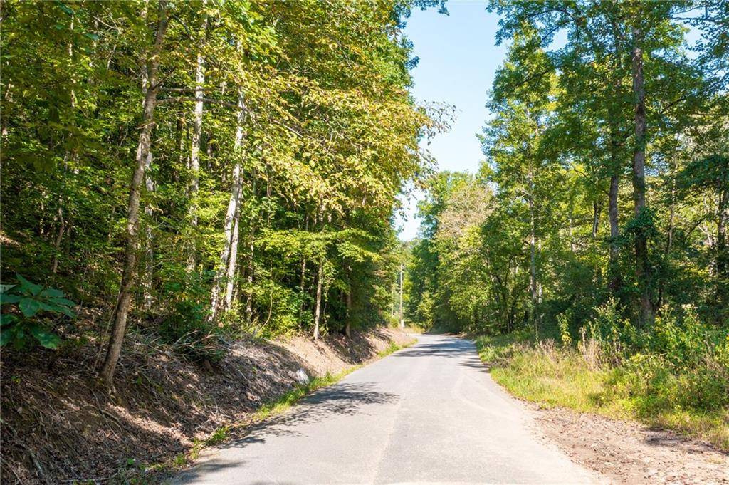 Ball Ground, GA 30107,Lot 8 Mineral Springs RD