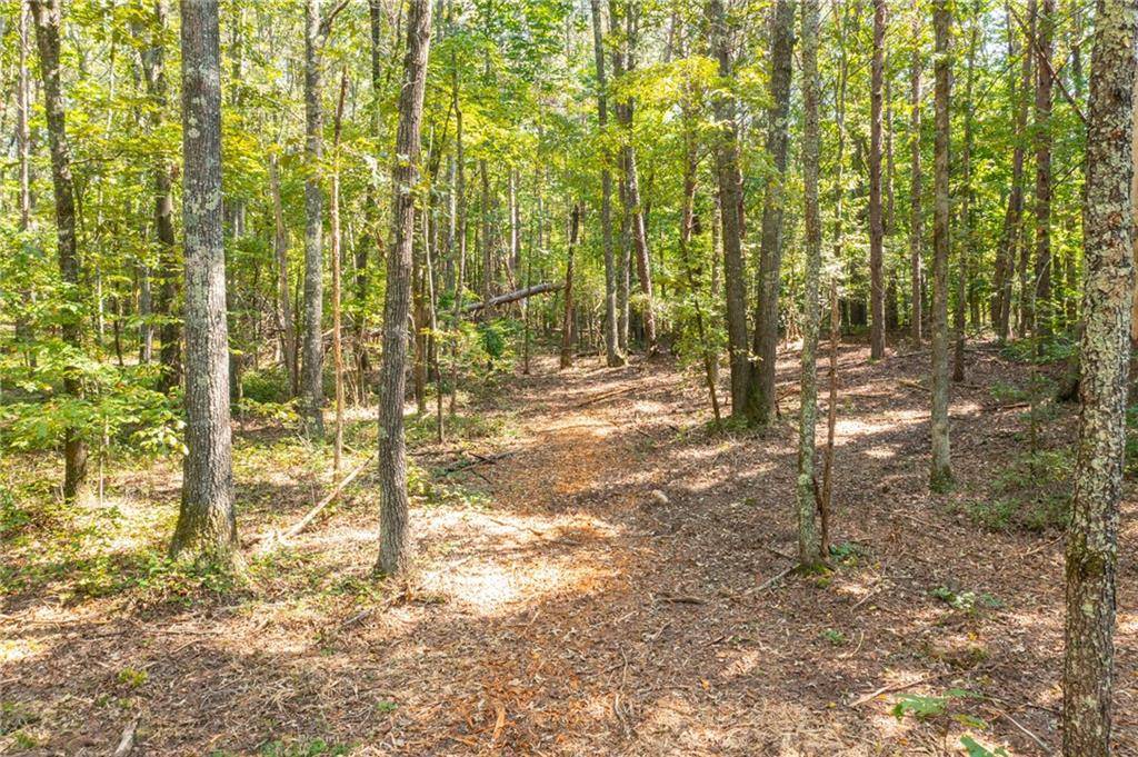 Ball Ground, GA 30107,Lot 10 Mineral Springs RD