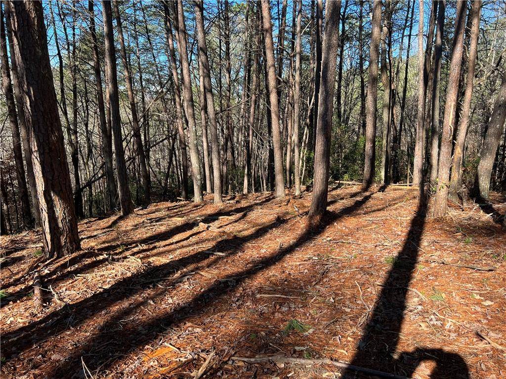 Ball Ground, GA 30107,Lot 14 Mineral Springs RD