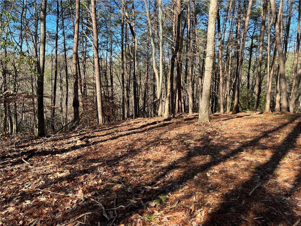 Ball Ground, GA 30107,Lot 14 Mineral Springs RD