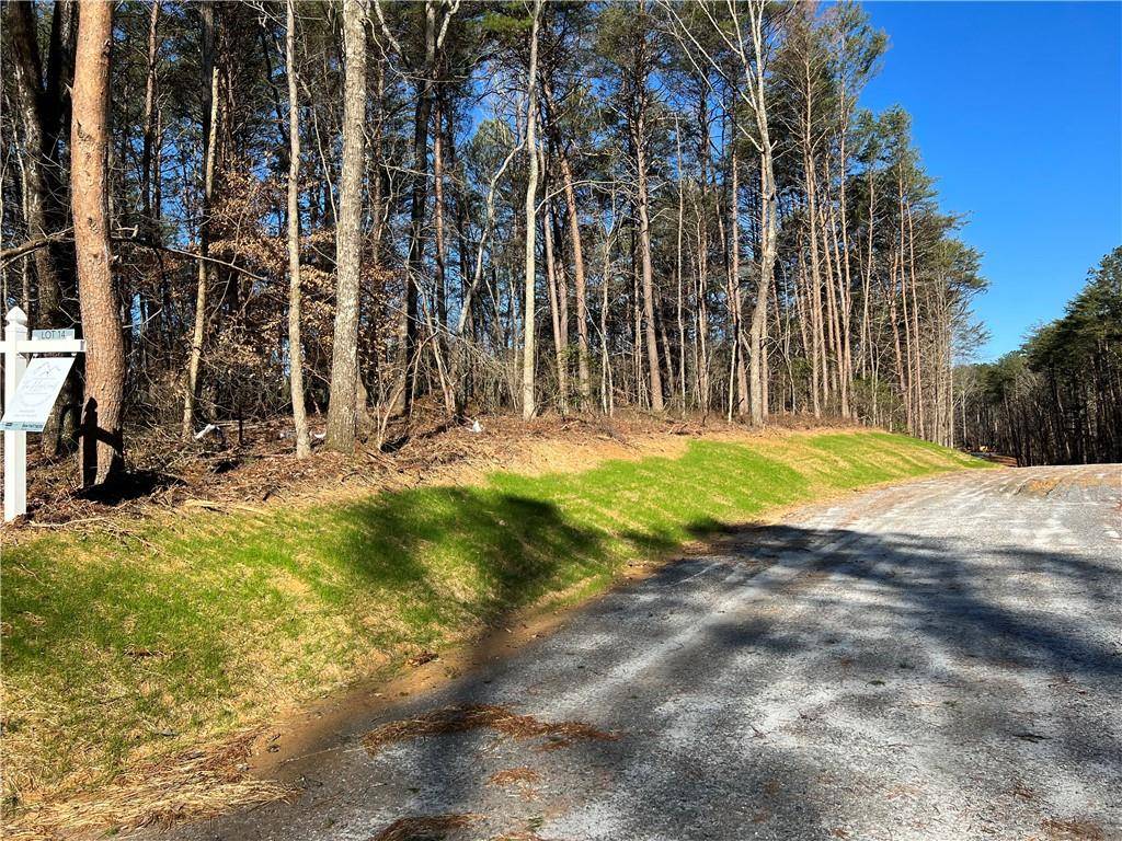 Ball Ground, GA 30107,Lot 14 Mineral Springs RD