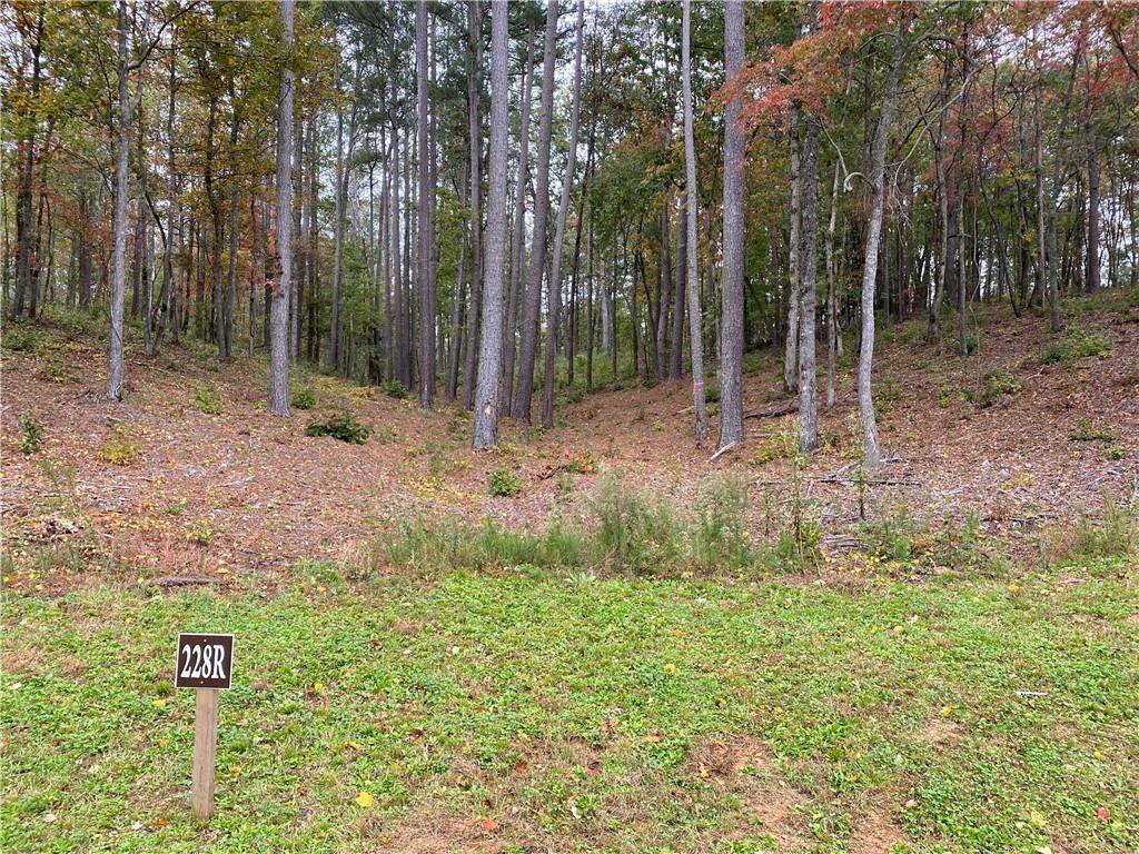 Ellijay, GA 30540,228R Overlook WAY