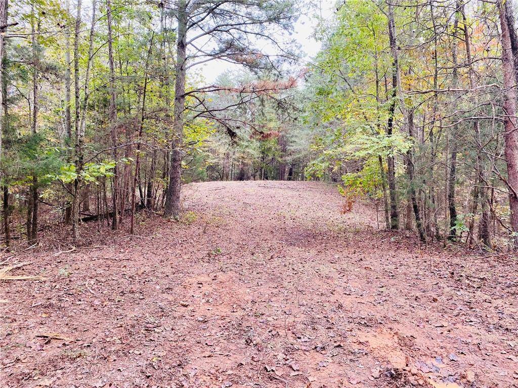 Rydal, GA 30171,0 Pine Hill RD