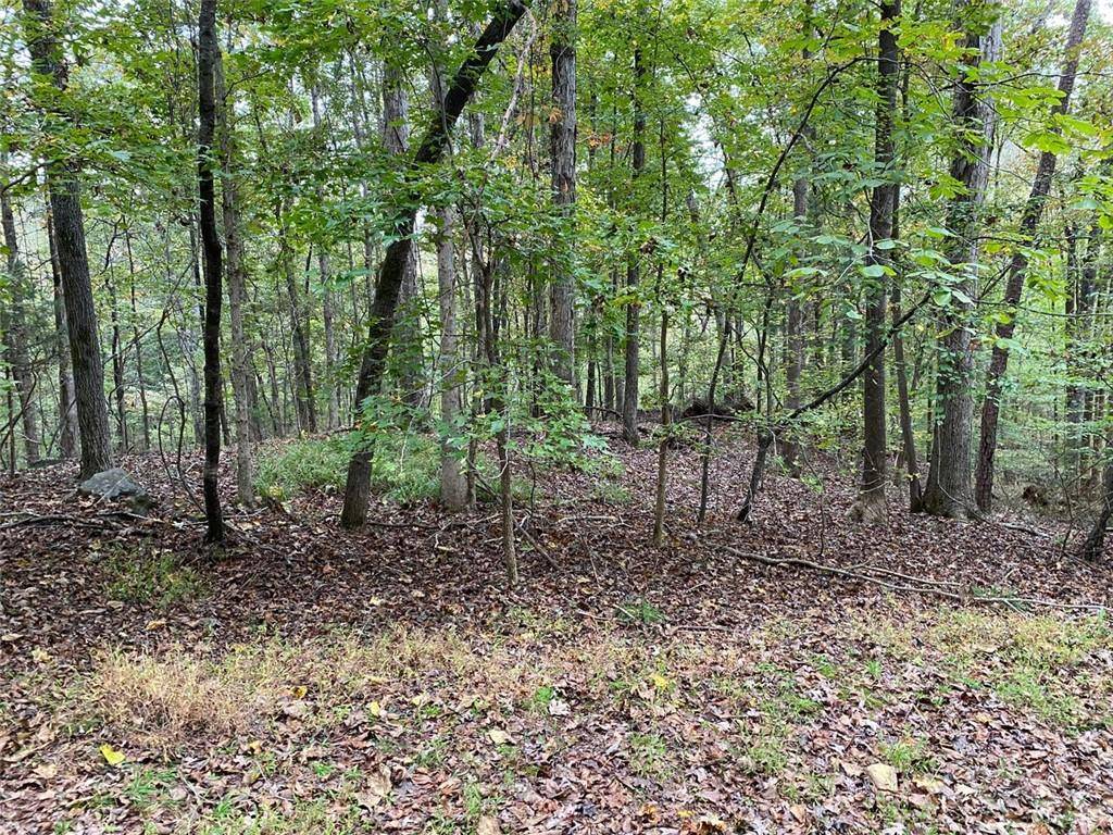 Hoschton, GA 30548,4 Buck Trail