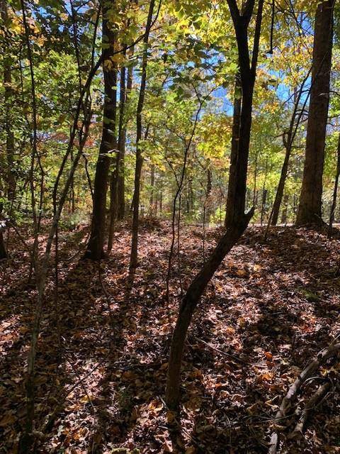 Dahlonega, GA 30533,Lot 95 Pine TRL