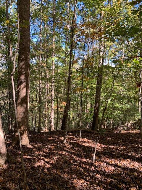 Dahlonega, GA 30533,Lot 95 Pine TRL