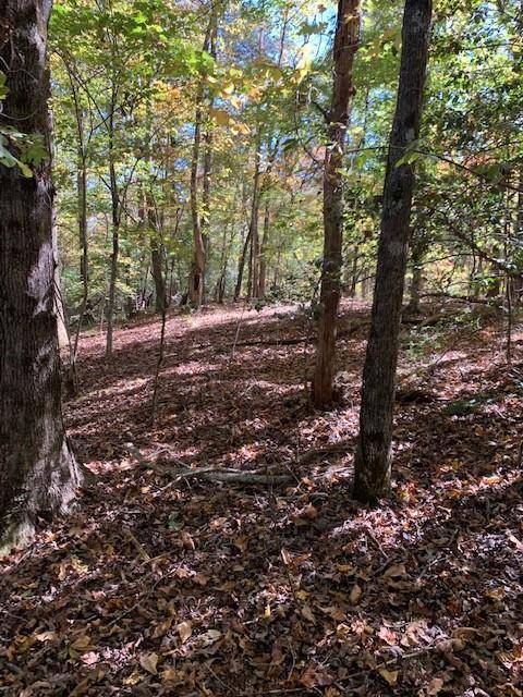 Dahlonega, GA 30533,Lot 94 Pine TRL