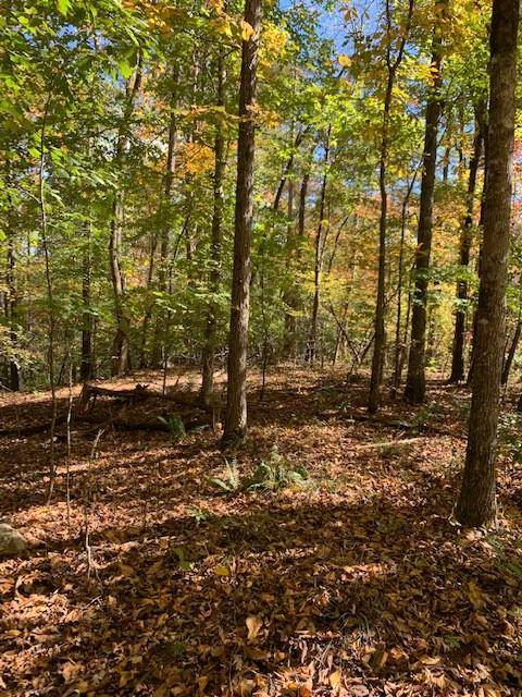 Dahlonega, GA 30533,Lot 94 Pine TRL