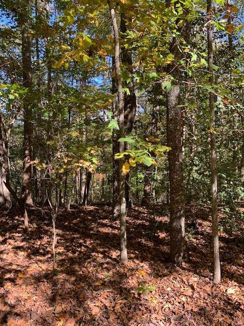 Dahlonega, GA 30533,Lot 94 Pine TRL