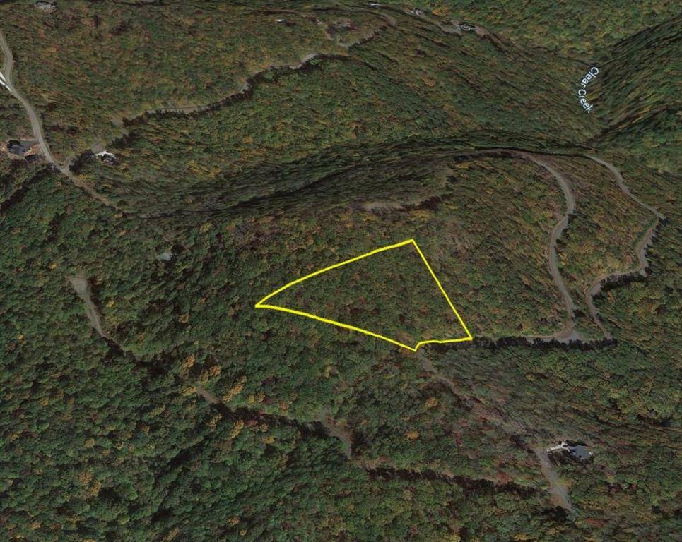 Ellijay, GA 30536,257 Andes RDG