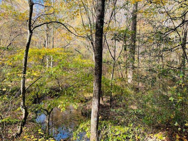 Ellijay, GA 30540,0 Delta Lot276 DR