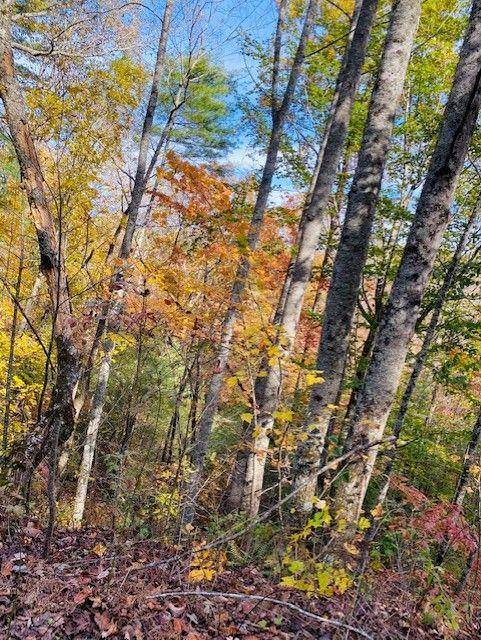 Ellijay, GA 30540,0 Delta Lot276 DR