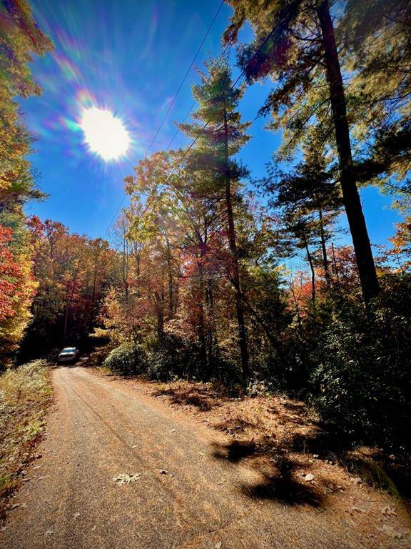 Cleveland, GA 30528,0 Hester Gap RD