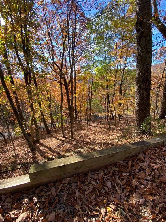 Jasper, GA 30143,1145 Oglethorpe Mountain RD