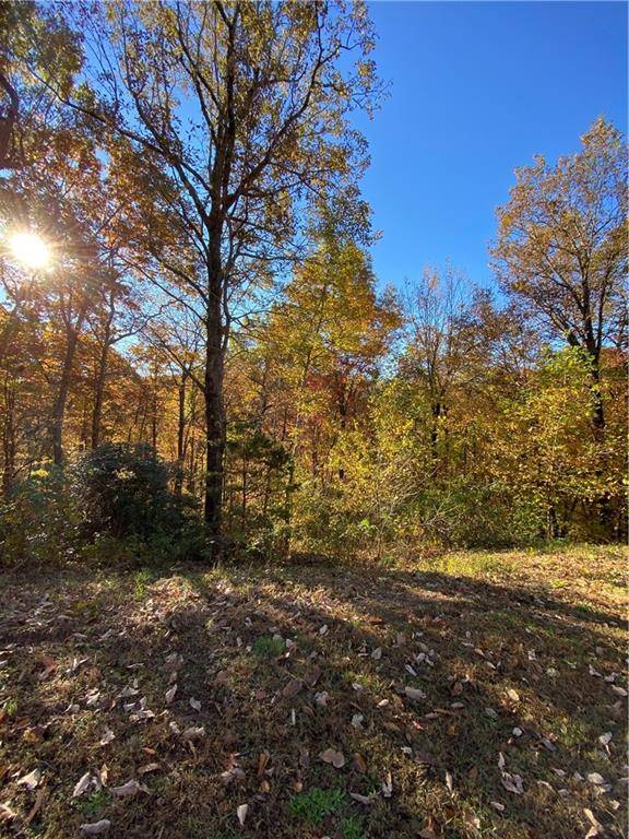 Ellijay, GA 30536,21 Mountain Falls LOOP