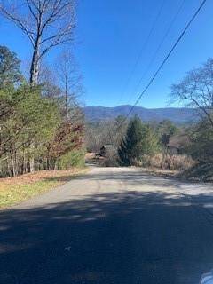 Ellijay, GA 30540,238 Toccoa Court