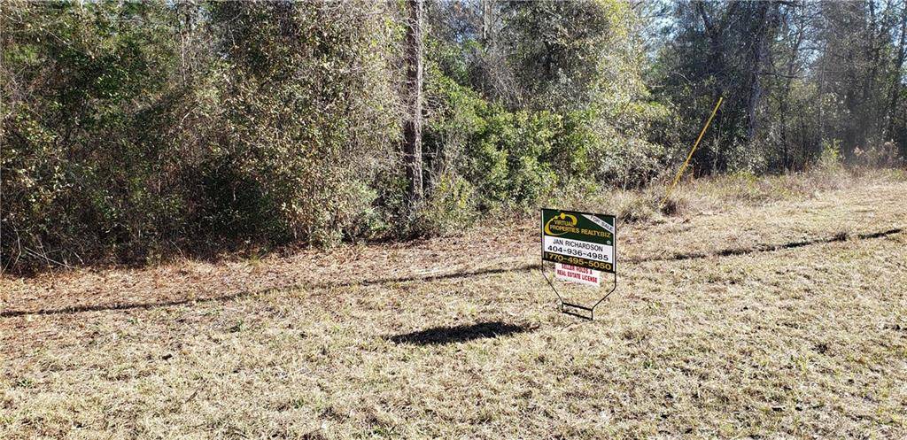 Jesup, GA 31545,Lot 22 Tank RD