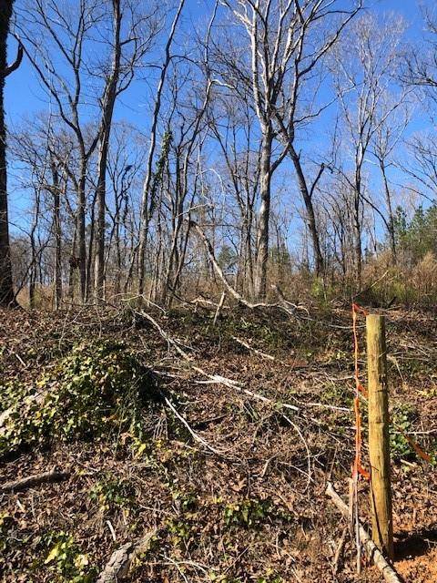 Canton, GA 30114,10 Theodore Cox CIR